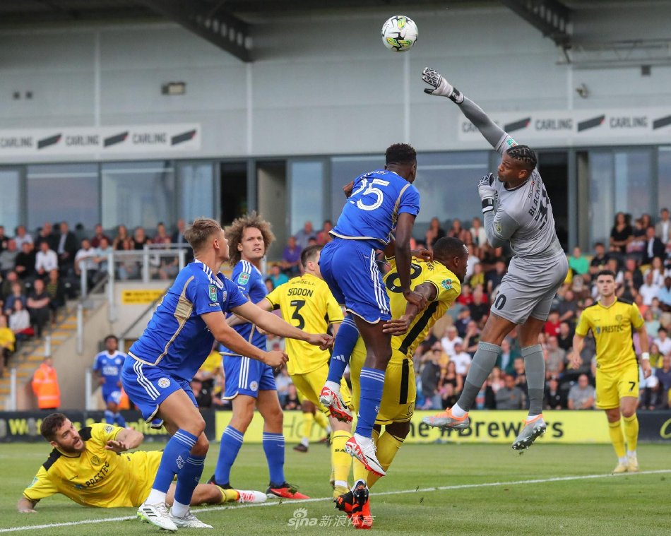 杯预选赛的 杯预选赛的